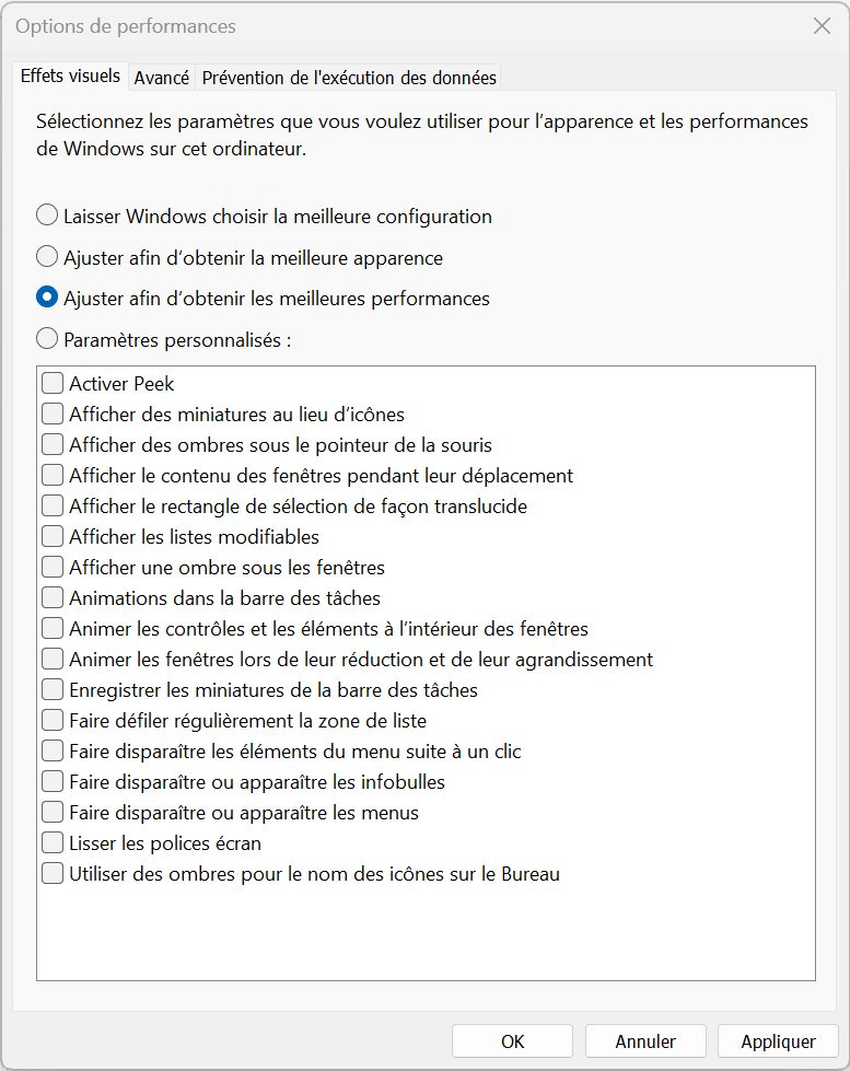 ajuster les performances visuelles de windows