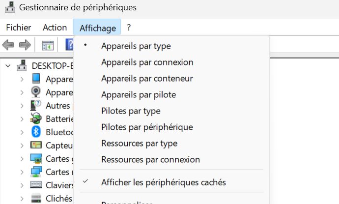 afficher les périphériques cachés windows