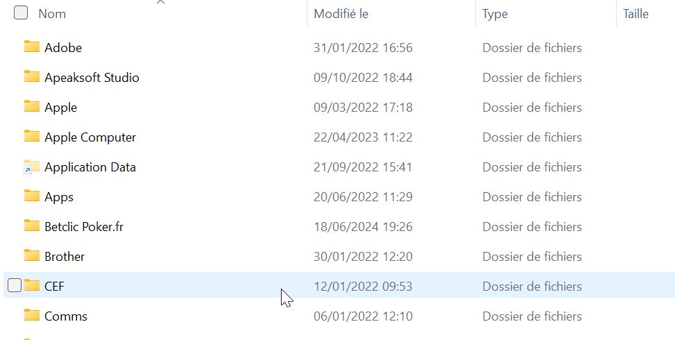contenu du dossier Local dans AppData