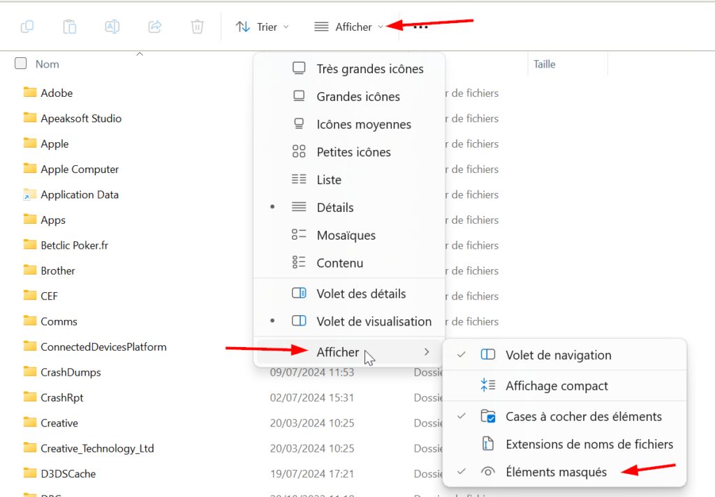 afficher les fichiers cachés sous windows 11