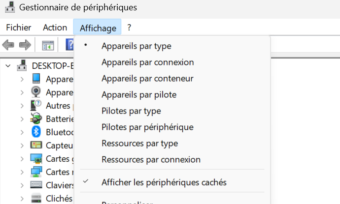 Que faire lorsque la carte graphique n'est pas détectée par Windows ? 4 afficher les périphériques cachés windows